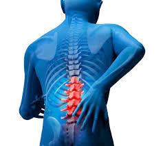 The Ultimate Guide to Ergonomic Products for Back Pain Relief