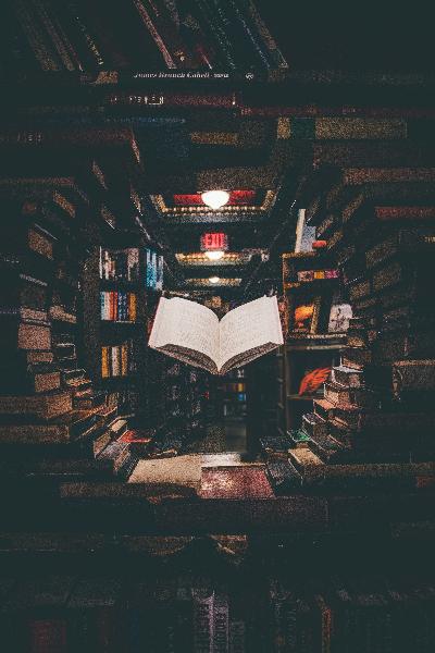 Breaking Boundaries: Exploring Representation in Gay Fantasy Books