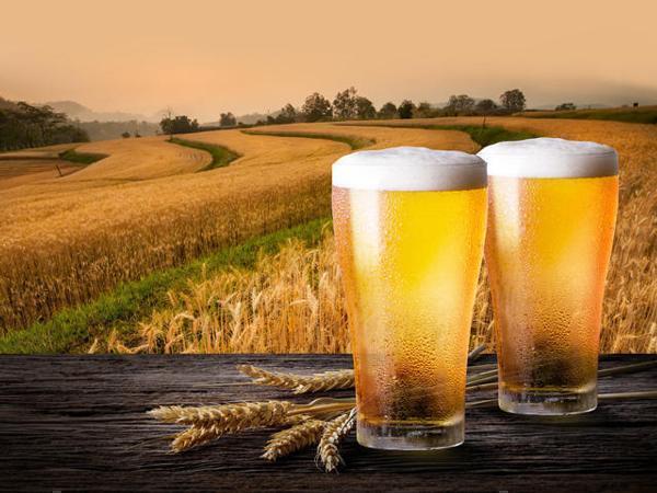 United States Beer Market Share, Size, Trends Analysis, Report 2024-2032
