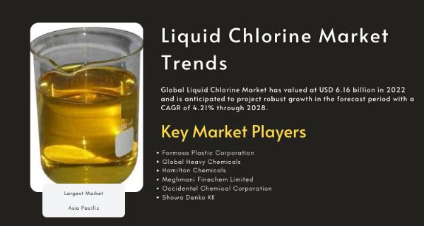 Liquid Chlorine Market Insights Purification Powerhouse Analysis