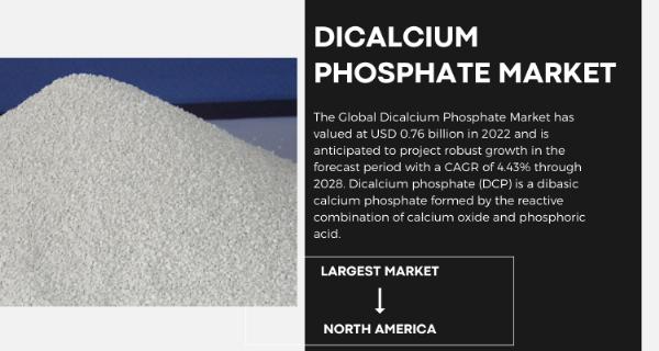Dicalcium Phosphate Market Trends Tracking Growth with Statistics