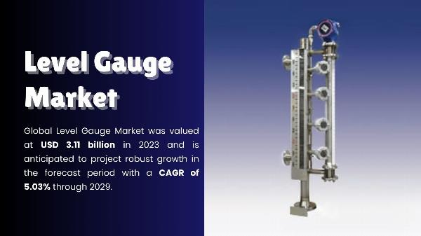 Level Gauge Market Expansion: Exploring New Applications and Markets