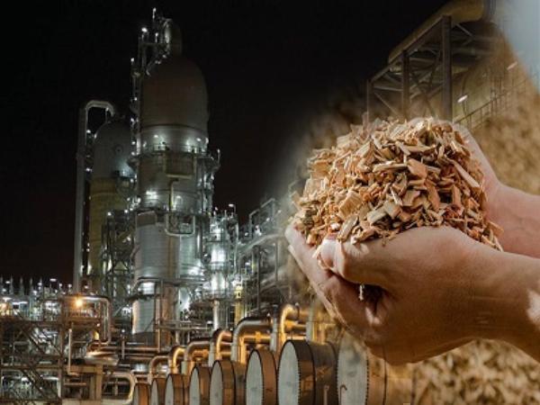 m-Xylene Prices Trend, Price, Monitor, News, Analytics and Forecast | ChemAnalyst