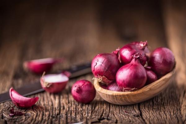 Project Report 2024: Setting up a Onion Processing Plant