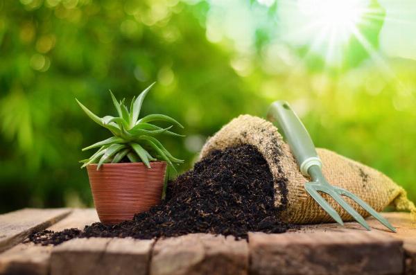 Organic Fertilizer Manufacturing Plant Project Report 2024: Raw Materials Cost and Profit Margin