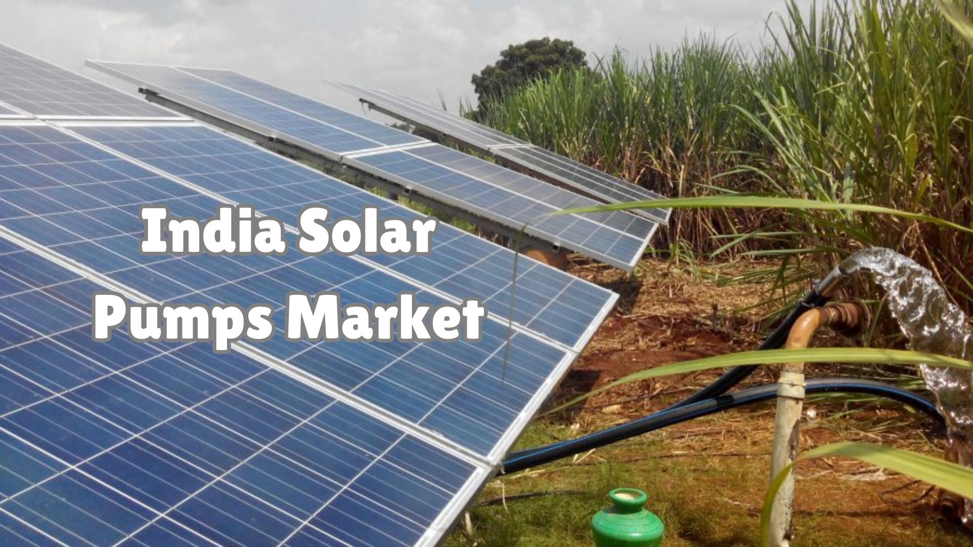 India Solar Pumps Market Trends: Analyzing Industry Dynamics