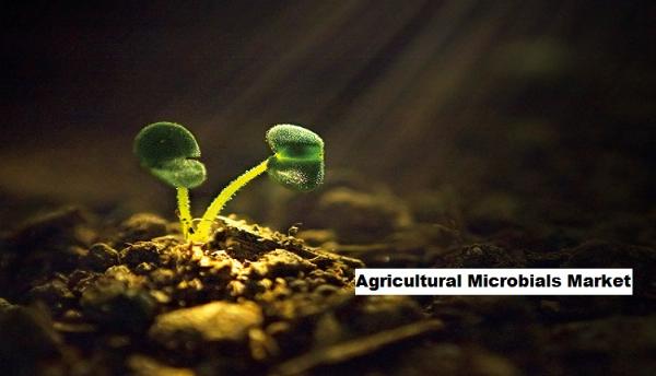 Analyzing Opportunities in the Global Agricultural Microbials Market