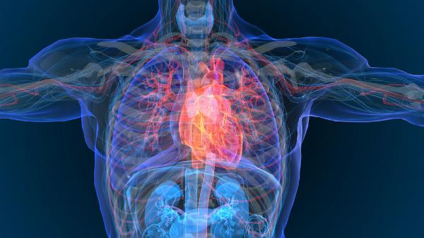 SVT Unmasked: A Deep Dive into ECG Patterns and Diagnosis