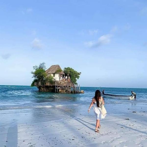 Sun, Sand, and Serenity: Safari Retreats in Zanzibar with Safarilines