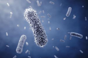 Baculovirus Expression System Market Witness Growth Acceleration During 2022-2030