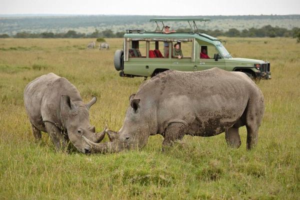 Tranquil Tarangire: Serene Safari Retreats with Safarilines