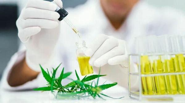 Unveiling the Marvels of Drug Discovery and Development: A Journey into Pharmaceutical Product Development