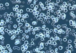 Cell Counting Market by Manufacturers, Regions, Type and Application Forecast to 2016 – 2030