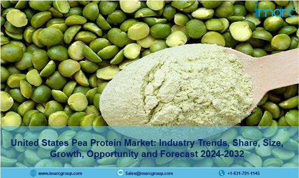 United States Pea Protein Market Trends, Share, Size & Forecast by 2024-2032