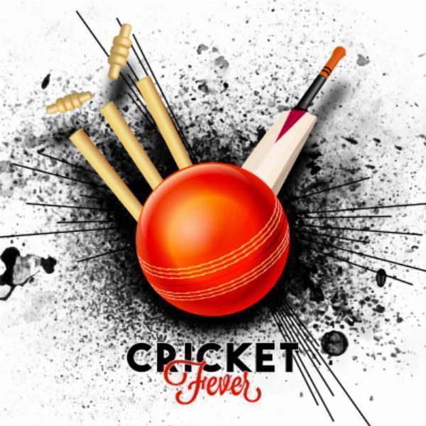 Understanding Cricket API Costs and Exploring Fantasy Cricket API and IPL Cricket API