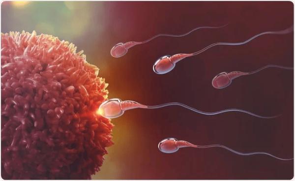 Choosing the Right Fertility Specialist in Sarjapur: Key Factors to Consider