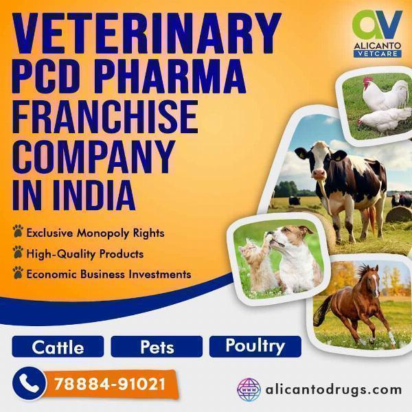 Veterinary PCD Pharma Franchise Company in India