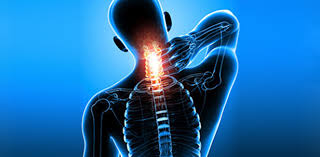 Anti-Inflammatory Therapeutics Market Revenue Growth and Quantitative Analysis Till 2033