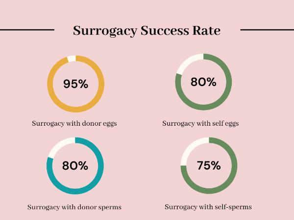 Best Surrogacy and IVF Centres in Chandigarh with affordable Cost