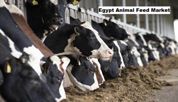 Egypt Animal Feed Market Soars with Population Surge and Urbanization