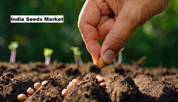India Seeds Market Surge Driven by Farmer Awareness of Hybrid Seed Benefits