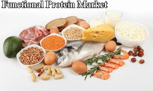 Functional Protein Market Size, Growth Insights Through 2032