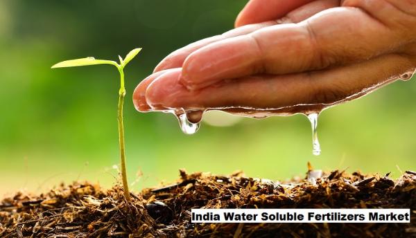India Water Soluble Fertilizers Market Flourishes Amid Rapid Hydroponics and Soilless Cultivation