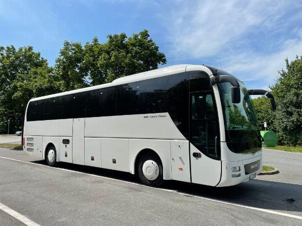 Bus Market Expanding Horizons Assessing Growth Potential