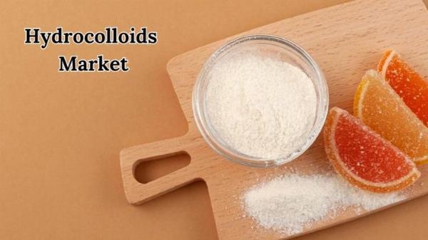 Hydrocolloids Market Size, Growth Insights Through 2032