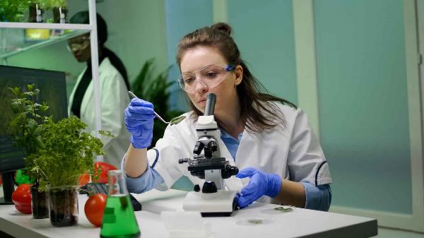 Consumer Awareness: The Need for Food Testing Labs in Mumbai