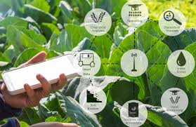 Agritech Platform Market Revenue Growth and Quantitative Analysis Till 2033