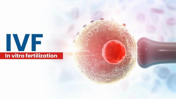 South Delhi's Leading Fertility Centre: Prime IVF
