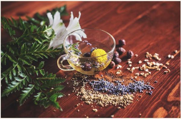 10 Herbal Supplements to Naturally Boost Your Immune System