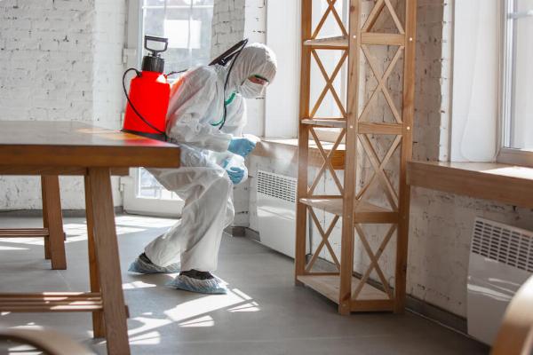 What Are the Most Effective Pest Control Termite Treatment Options?