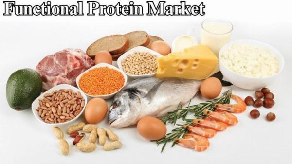 Functional Protein Market Size, Overview and Growth Trends Through 2032