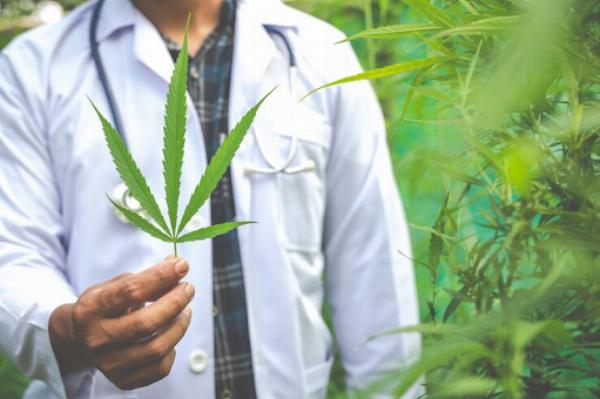 When Is the Best Time to See a Medical Marijuana Doctor in Florida?