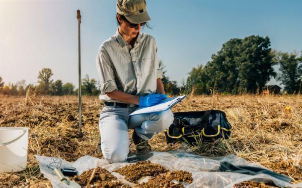 The Importance of Soil Sampling Frequency