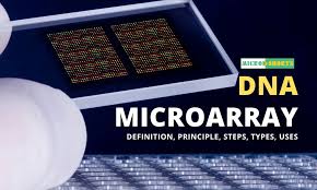 Surging Cancer Prevenance Drives DNA Microarray Market