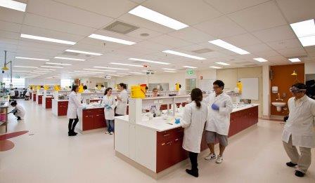 Ways To Explore an International Pharmaceutical Trade Expo and Conference