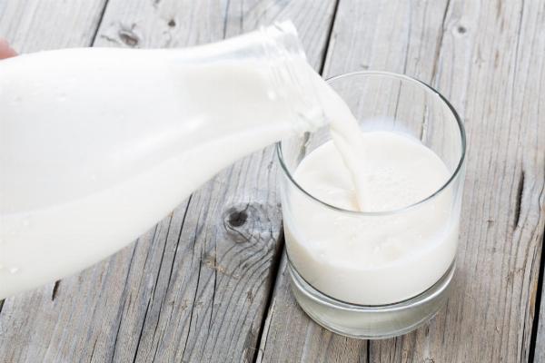 The Benefits and Uses of Wellhealthorganic Buffalo Milk