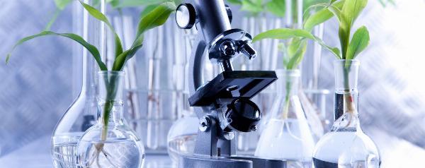 Cosmeceutical Market | Industry Outlook Research Report 2023-2032 By Value Market Research