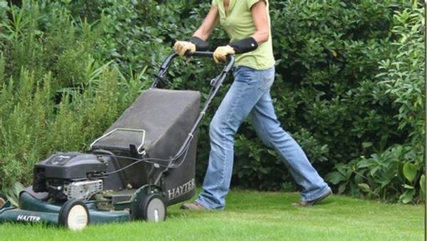 Lawn and Garden Consumables Market Emerging Trends and Competitive by 2033