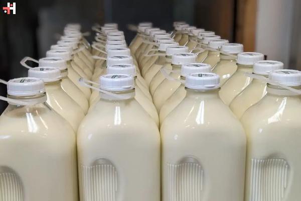 Louisiana Set to Legalize Raw Milk Sales amid Health Concerns
