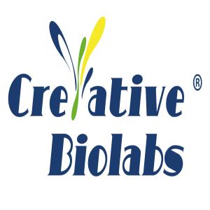 New Advances With iPSC Research: Improved Characterization and Reprogramming Techniques