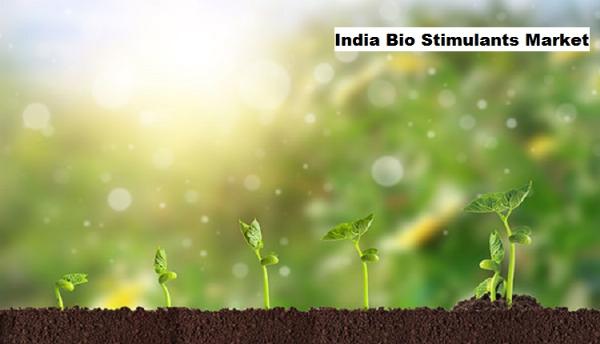 India Bio Stimulants Market Poised for Growth with Precision Agriculture Tech Integration