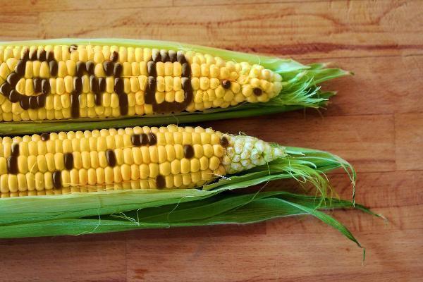 Genetically Modified (GMO) Food Market 2023: Global Forecast to 2032