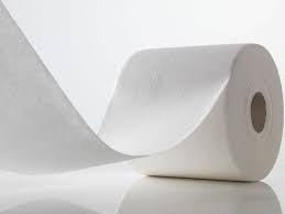 Airlaid Paper Market Industry Size and Forecast 2033
