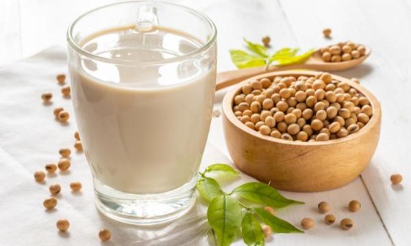 Soy Protein Market: Sustained Growth and Emerging Trends