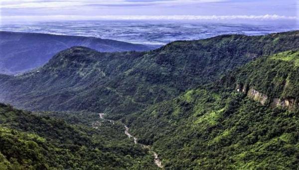Kaziranga Tour Package: Your Ultimate Travel Guide