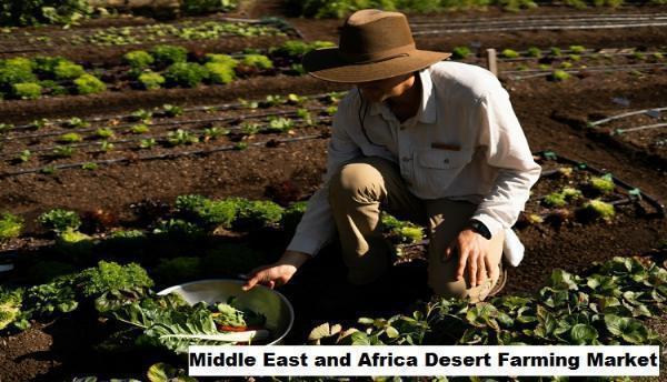 Middle East and Africa Desert Farming Market Trends: Drivers of Dry and Depleting Conditions